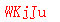 ǩ