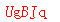 ǩ