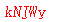ǩ
