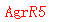 ǩ