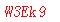 ����ǩ��