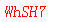 ����ǩ��