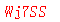 ����ǩ��
