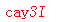 ����ǩ��