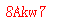 ����ǩ��
