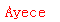 ����ǩ��