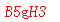 ����ǩ��