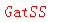 ����ǩ��