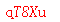 ����ǩ��