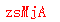 ����ǩ��