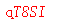 ����ǩ��