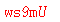 ����ǩ��
