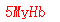 ����ǩ��