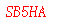 ����ǩ��