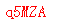 ����ǩ��