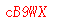 ����ǩ��