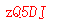 ����ǩ��
