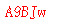 ����ǩ��
