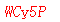 ����ǩ��