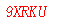 ����ǩ��