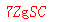 ����ǩ��