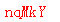 ����ǩ��