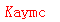 ����ǩ��