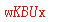 ����ǩ��