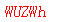 ����ǩ��