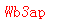 ����ǩ��