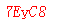 ����ǩ��