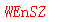 ����ǩ��