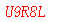 ����ǩ��