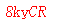 ����ǩ��